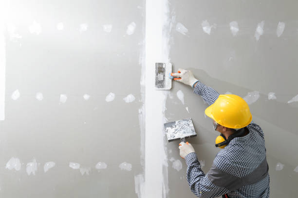 Reliable Telluride, CO Drywall & Painting Services Solutions